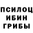 Псилоцибиновые грибы Psilocybine cubensis Larisa Misiene
