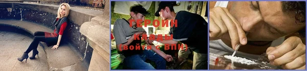 ГАЛЛЮЦИНОГЕННЫЕ ГРИБЫ Михайлов