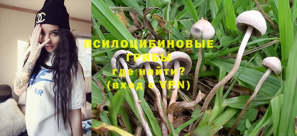 ГАЛЛЮЦИНОГЕННЫЕ ГРИБЫ Михайлов