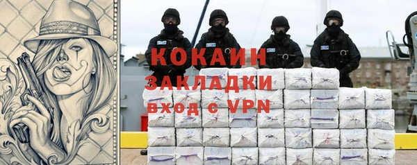 ГАЛЛЮЦИНОГЕННЫЕ ГРИБЫ Михайлов