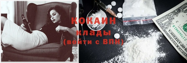 ГАЛЛЮЦИНОГЕННЫЕ ГРИБЫ Михайлов