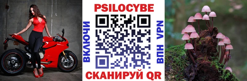 закладка  мориарти телеграм  Псилоцибиновые грибы мухоморы  Лукоянов 